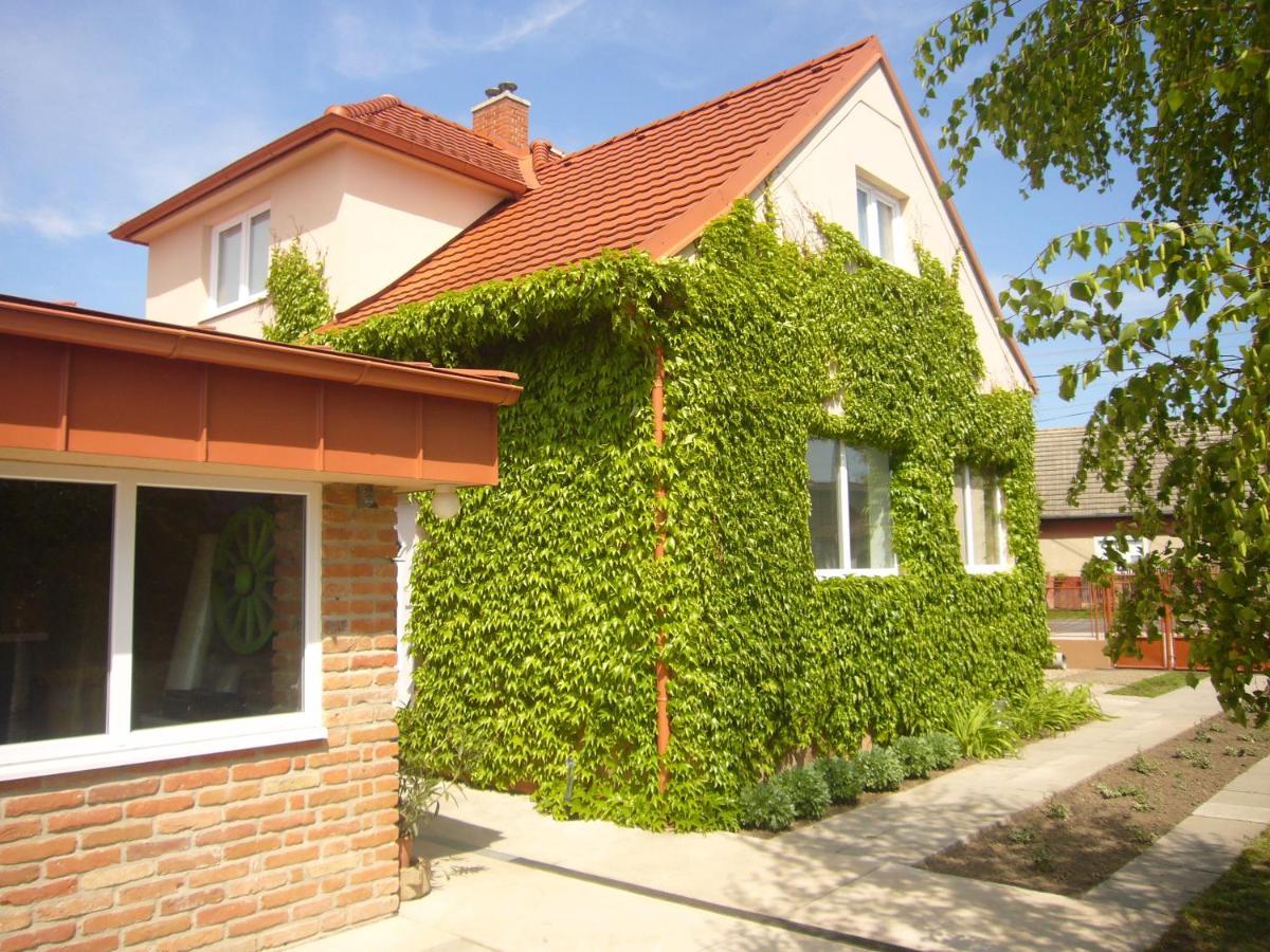 Vinny Dom - Rumcajz - Borhaz Obid Exterior foto
